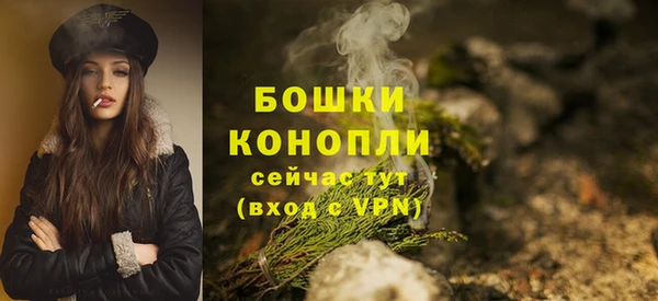 прущие грибы Бородино