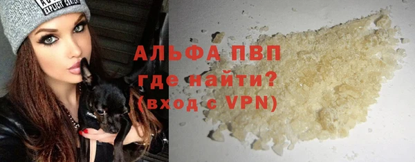 прущие грибы Бородино