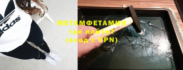 прущие грибы Бородино