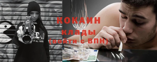 прущие грибы Бородино