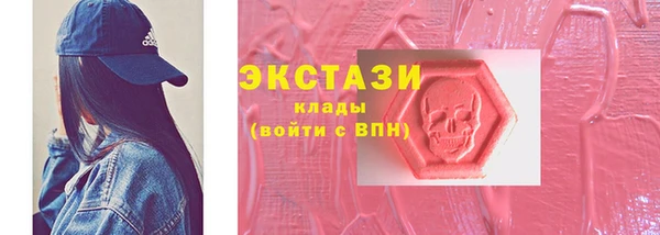 прущие грибы Бородино