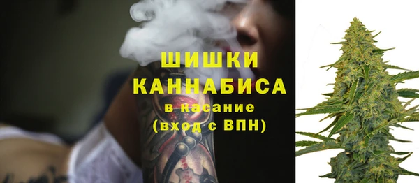 прущие грибы Бородино