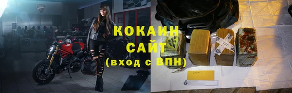 прущие грибы Бородино
