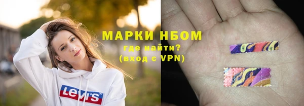 прущие грибы Бородино
