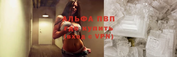 прущие грибы Бородино