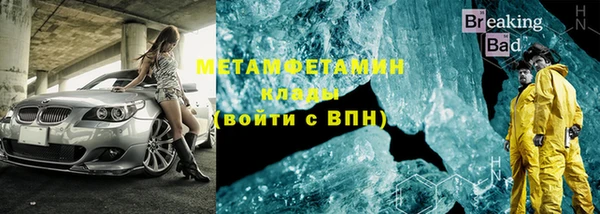 прущие грибы Бородино