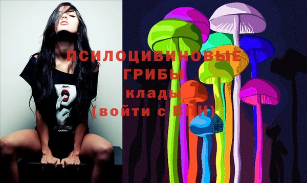 прущие грибы Бородино