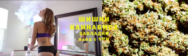 прущие грибы Бородино