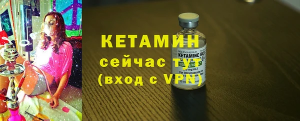 прущие грибы Бородино