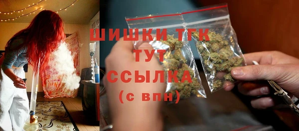 прущие грибы Бородино